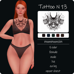 Tatouage N13