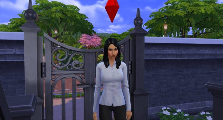 Simette des Sims devant portail.
