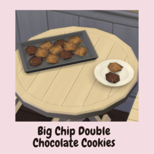 Biscuits double chocolat aux pépites