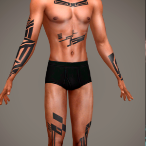 Tatouage géométrique