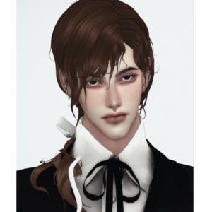 Cheveux médiévaux