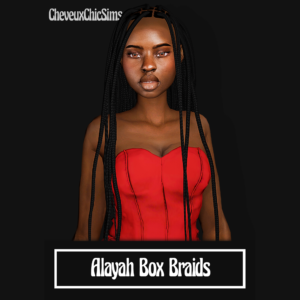 Alayah Box Braids (tresses en boîte)