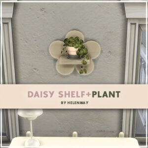 daisy_shelf_and_plant