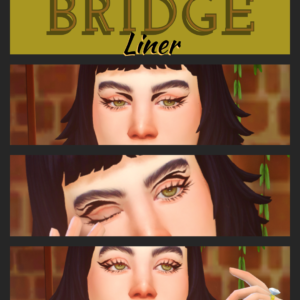 Bridge Liner