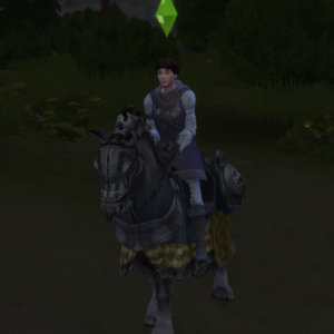 TSM Long Tunic Leather Dagger/No Dagger