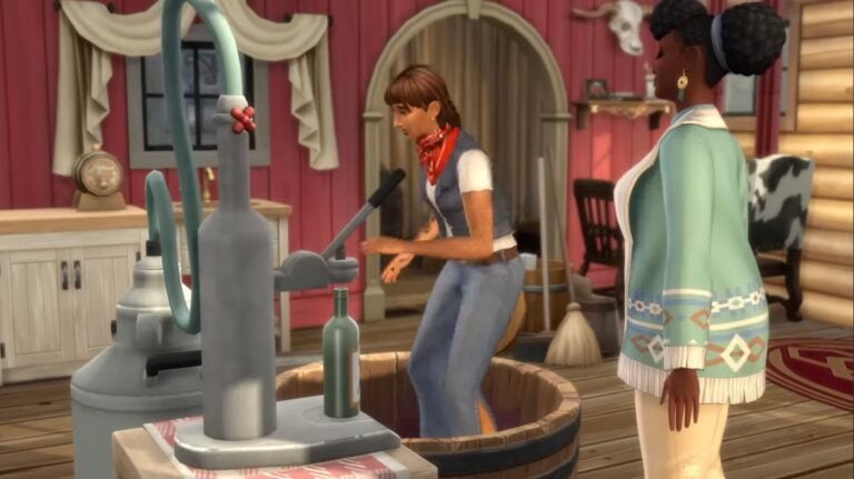 Deux Sims dans une maison western.