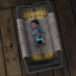 TSM Town Crier Outfit Plain
