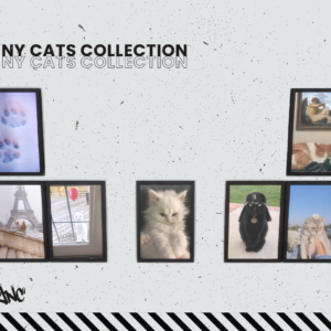 [VHSync] Collection d'images de chats drôles