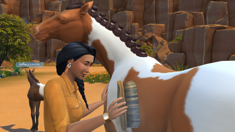 Simette spazzola un cavallo piebaldino.
