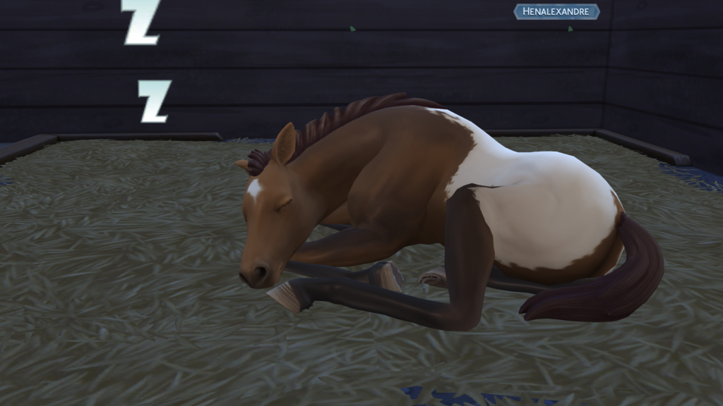 Poulain qui dort dans Les Sims 4 Vie Au Ranch