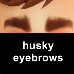 Sourcils Husky