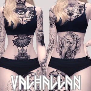 TROUBLE : 5 séries de tatouages pour le corps entier (+ tatouages séparés) par Valhallan