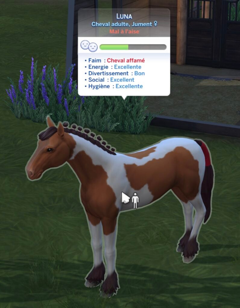 Besoins d'un cheval Sims 4