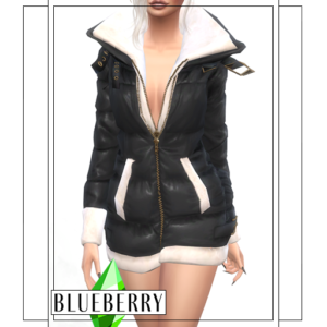 Blueberry - Veste Aspen (longue)
