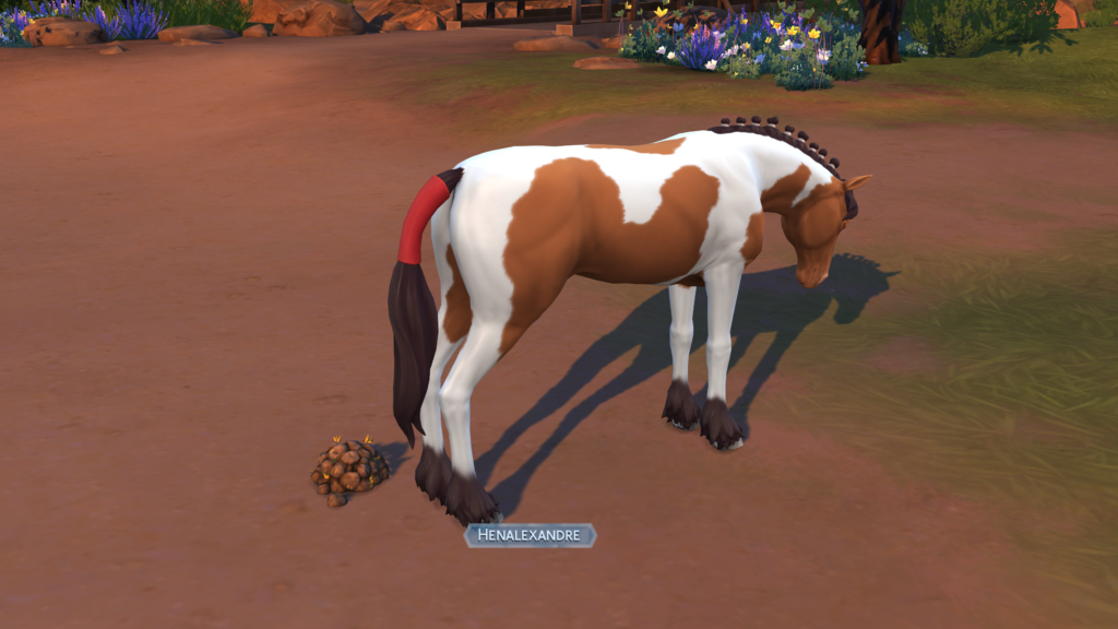 Crottin d'un cheval Sims 4