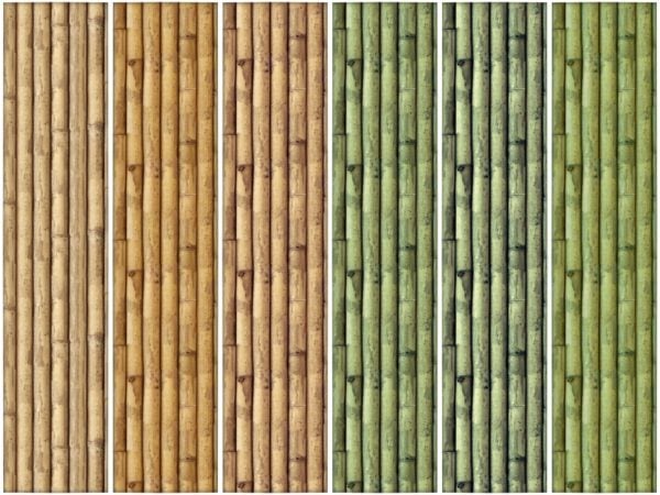Mur de bambous #1