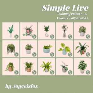 Collection Simple Live #3