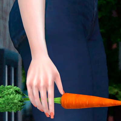 Acc Carrot Hand