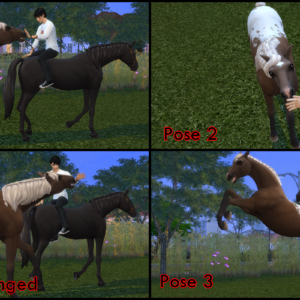 [F] Trust me my Horse Posepack