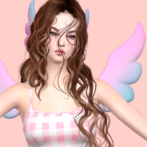 Collection Acc Wings