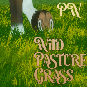 [PW] Herbe des pâturages sauvages