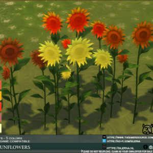Tournesols ensoleillés