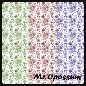 M. Opossum fleurs v un murs