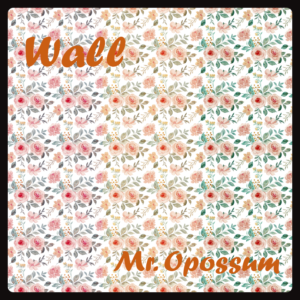 M. Opossum cryzadora wall