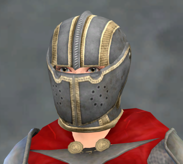 TSM Knight Faceguard helmet