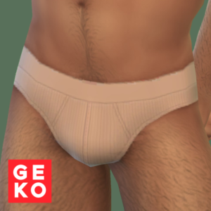 CLASSIQUE Slip Sous-vêtements