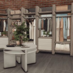Dressing avec vêtements et accessoires organisés