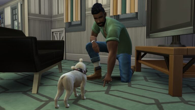 Sims pointant vers un chien dans le salon.