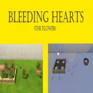 Bleeding Hearts Récoltables