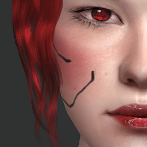 maquillage cybernétique [cerbère]