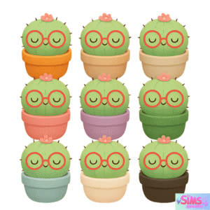 CACTUS DÉCORATIF