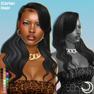Carter Hair