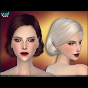 Coiffure 39 : Comtesse
