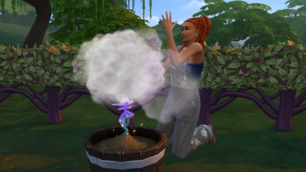 Un sim plante un semi de fée