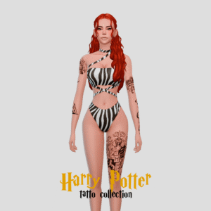 Collection de tatouages HP