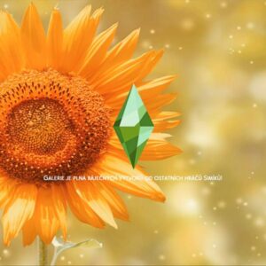 Écran de chargement avec des tournesols scintillants en été