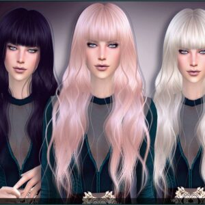 Coiffure 58 : Aube