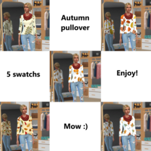 Pull d'automne femme