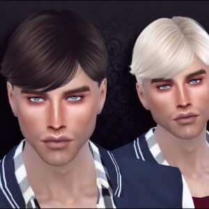 Coiffure 72 : Sauvage