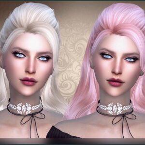 Coiffure 83 : Système