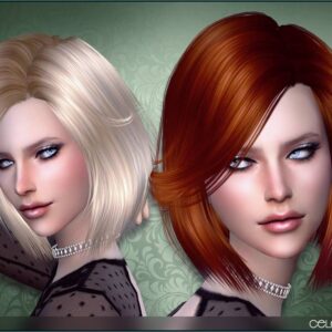 Coiffure 91 : Célébration
