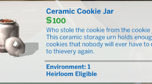 Jarre à biscuits en céramique fonctionnelle