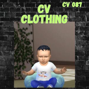 vêtements cv087