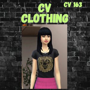 vêtements cv163