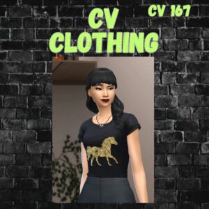 vêtements cv167