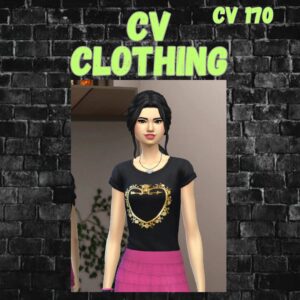 vêtements cv170